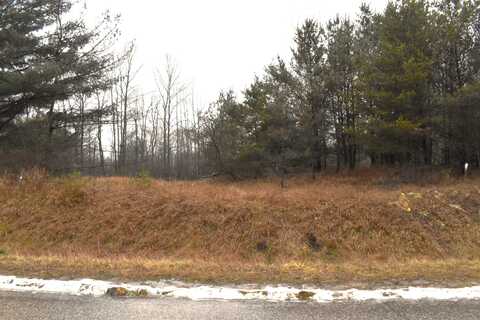 Lot 12 N Westchester, Gladwin, MI 48624