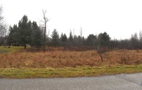 Lot 140 Winchester, Gladwin, MI 48624