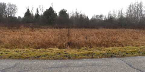 Lot 141 Winchester, Gladwin, MI 48624