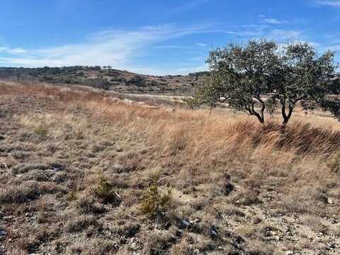 Lot 137 Falling Oak Dr., Blanco, TX 78606