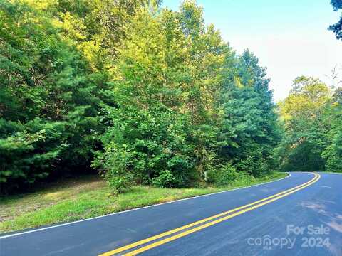 On SR 1309 Road, Lake Toxaway, NC 28747