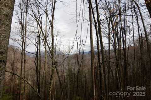 00 Jacks Knob Road, Barnardsville, NC 28709