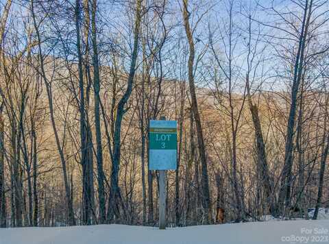 Mountain Gait Drive lot: 3, Mars Hill, NC 28754