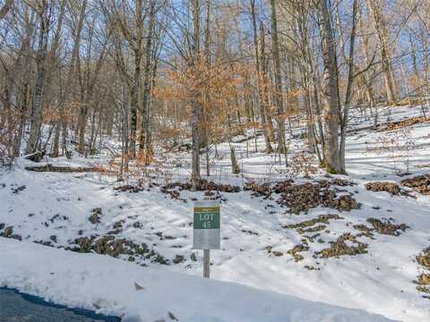 Lot 45 Black Bear Run, Mars Hill, NC 28754