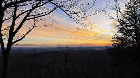 64 Wild Turkey Bluff, Jasper, GA 30143