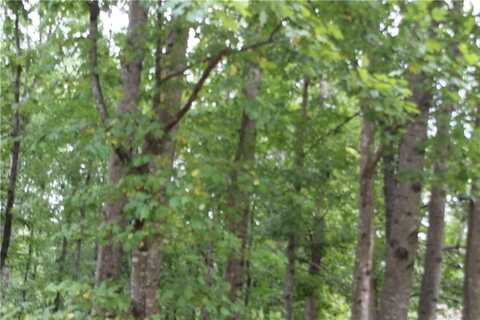243 LAKEVIEW Terrace, Dallas, GA 30132