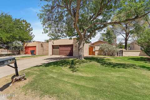 161 JEWELED MESA Drive, Santa Teresa, NM 88008