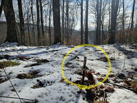 Lot 71 North Woods Circle, Snowshoe, WV 26209