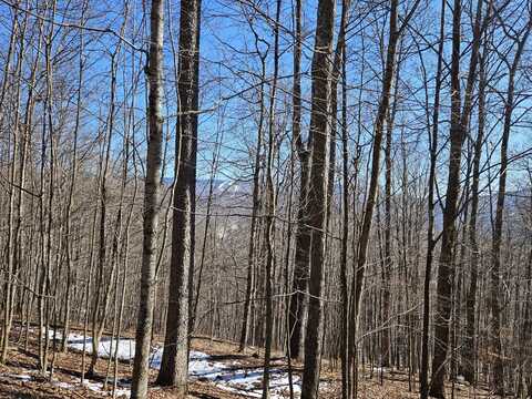 Lot 8 Upper Cherry Grove Rd, Slatyfork, WV 26291