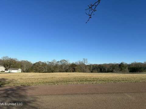 Meadow Oaks Lane, Clinton, MS 39056