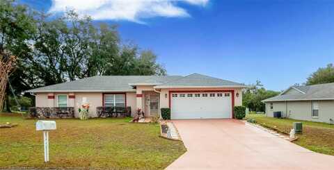 202 FOREST PARK LANE, LADY LAKE, FL 32159