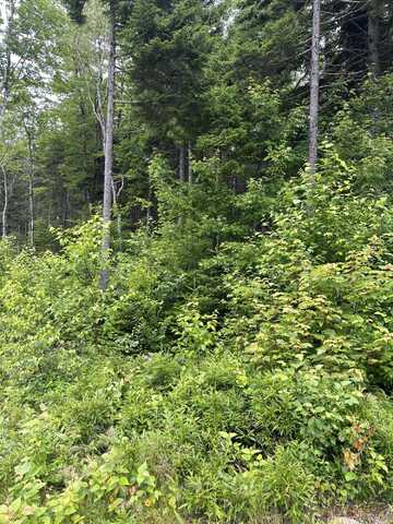 Lot 44 Estates Road, Steuben, ME 04680