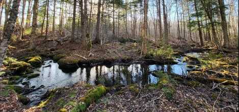 Lot 6 & 7 Morrison Brook Road, Oakfield, ME 04763