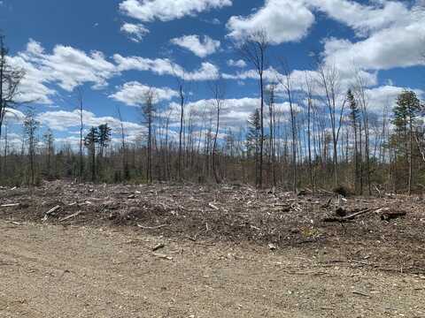 0a Clearcut Lodge Road, Springfield, ME 04487