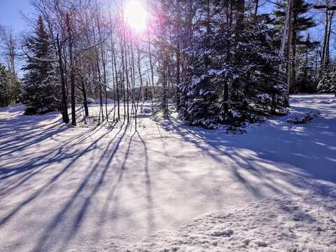 22 Robbins Nest Lane - Build Site, Dallas Plt, ME 04970