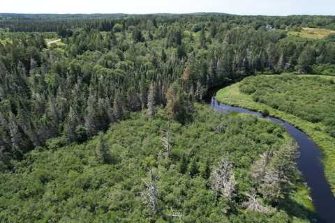 Lot 9 Wilcox Road, Trescott Twp, ME 04652