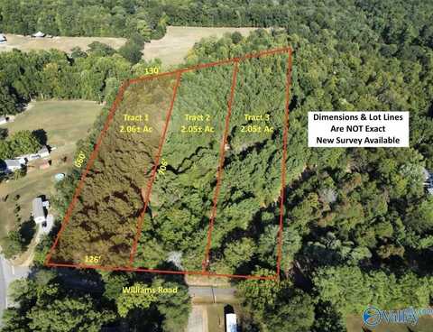 Tract 1 Williams Road, Athens, AL 35614