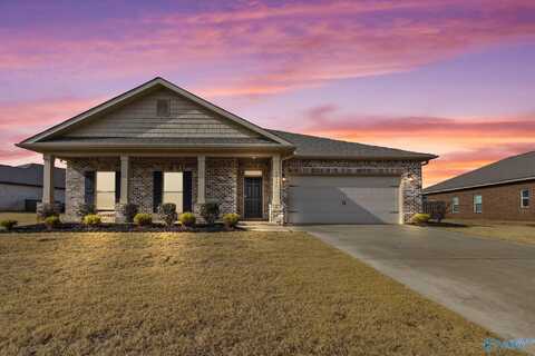 14511 London Lane, Athens, AL 35613