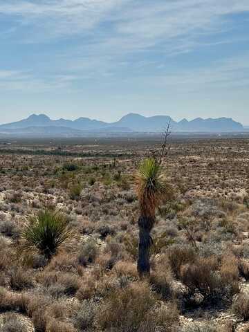 TR 4832 Stringfellow Rd, Terlingua, TX 79852