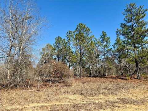 7 Dusty Road, Seale, AL 36875