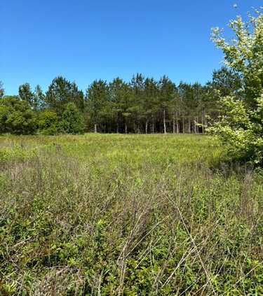 220 Buck Kirkland Rd, Poplarville, MS 39470