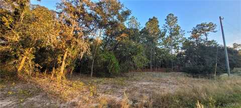 11377 N Kenney Loop, Citrus Springs, FL 34434