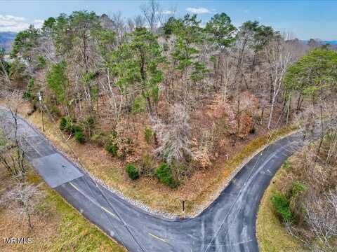 370 Chelaque Way, Mooresburg, TN 37811