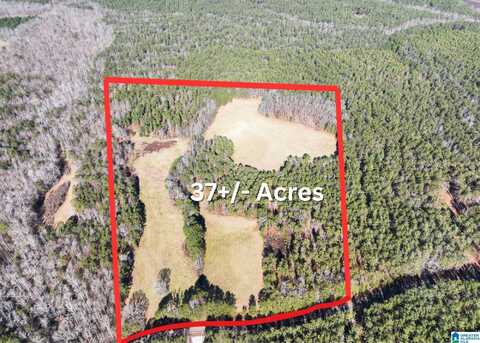 37+/- Acres COUNTY ROAD 632, ROANOKE, AL 36274