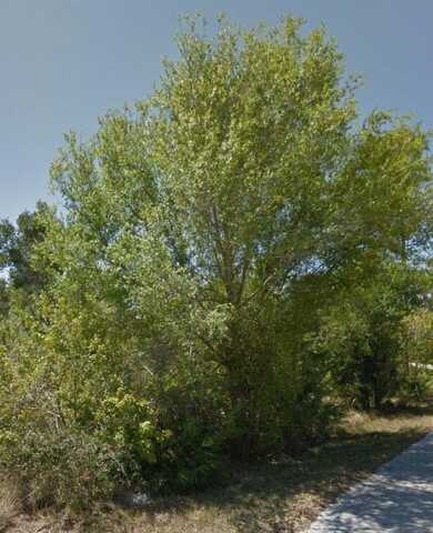 23509 BRANCH AVENUE, PUNTA GORDA, FL 33980