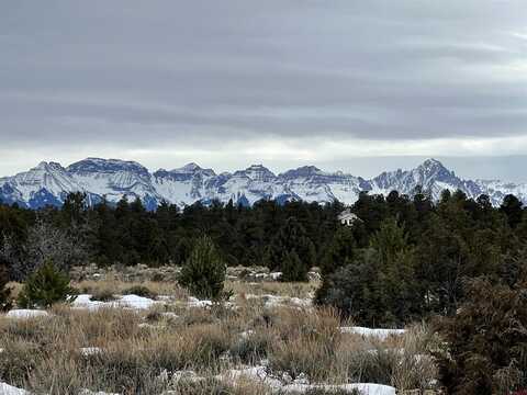 TBD Jumping Tree, Montrose, CO 81403