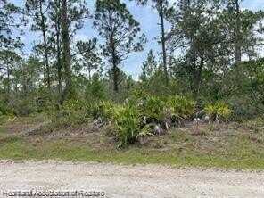 1133 Redbird Street, Lake Placid, FL 33852