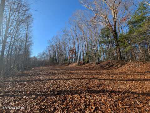 Catoosa Woods Drive, Lancing, TN 37770