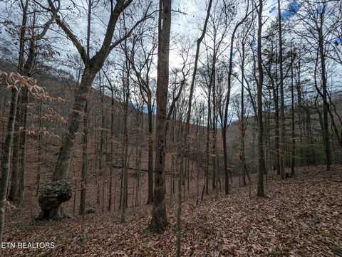 41 Apache Rd, Jamestown, TN 38556