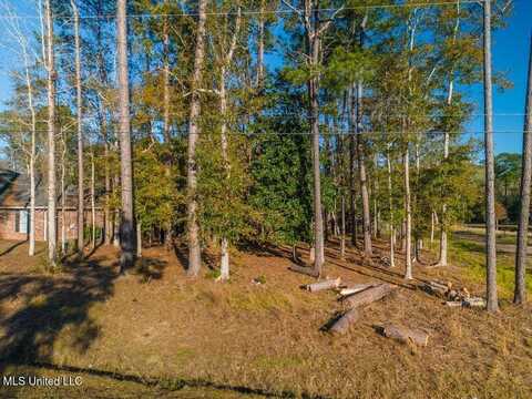 72699 N Diamondhead Drive, Diamondhead, MS 39525