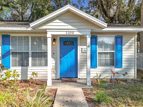 1100 N GRANDVIEW STREET, MOUNT DORA, FL 32757