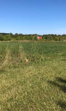 Lot 1 Johnson Road, Hebron, IL 60034