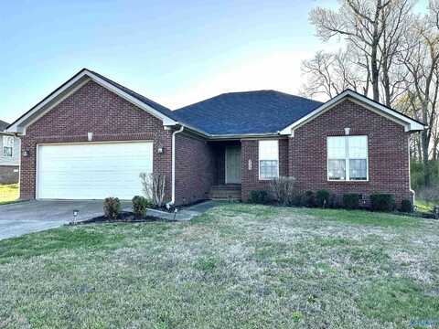 228 Tanner Point Drive, New Market, AL 35761