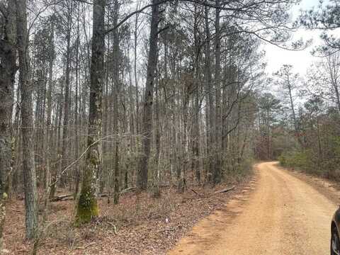 000 Siloam Rd, Winfield, AL 35594