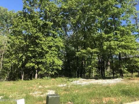 Tbd S Scenic Avenue Lot, Joplin, MO 64804