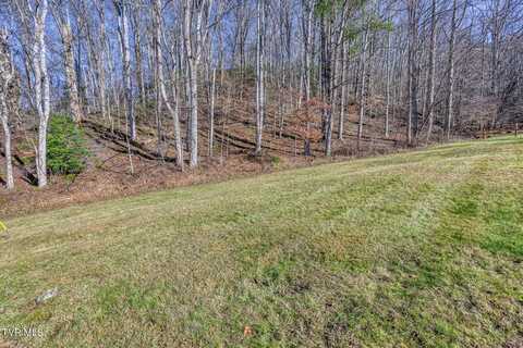 117 Buckner Drive, Roan Mountain, TN 37687