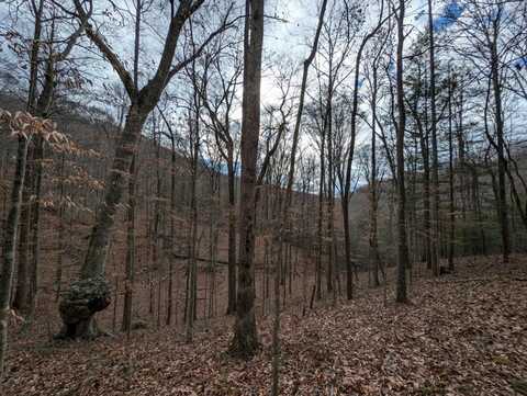 41 Apache Road, Jamestown, TN 38556