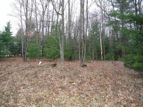 XXX Indian Oaks Lot 9, Prudenville, MI 48651