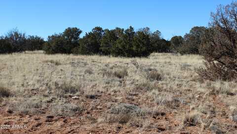 1924 Hutch Road, Heber, AZ 85928