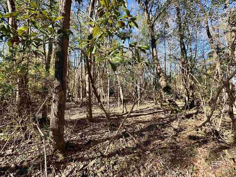 0 Montgomery Avenue, Atmore, AL 36502