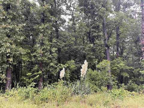 TBD Blackfoot Drive, Cherokee Village, AR 72529