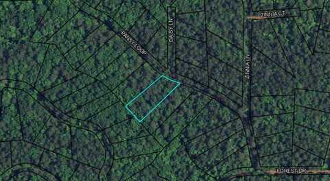 Blk 79 Lot 07 PANSY LOOP, WAVERLY HALL, GA 31831