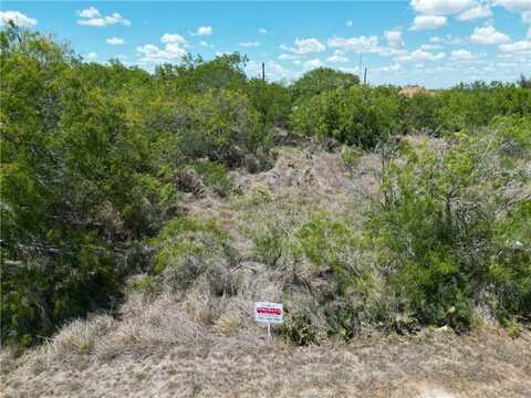 143 Tomahawk Drive, Sandia, TX 78383