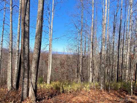 Tbd Meditation Ridge Drive, Nebo, NC 28761