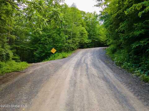 L10.23 Podpadic Road, Seward, NY 12043