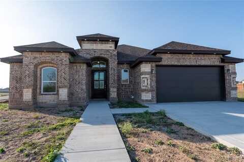 1724 Megan Street, Donna, TX 78537